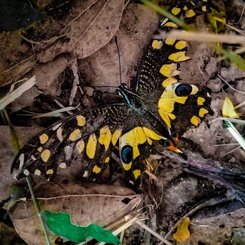 Photo #9227968