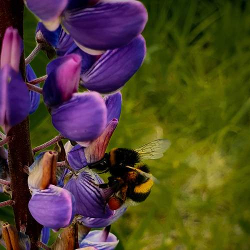 Photo #9228005