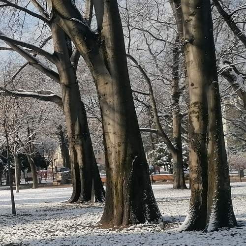 Photo #9228090