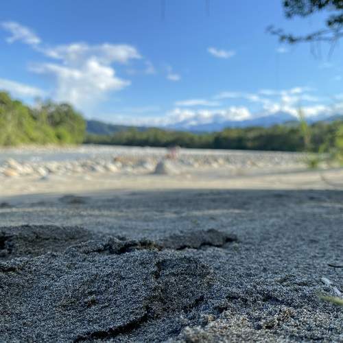 Photo #9228255