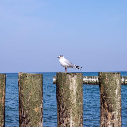 Photo #9228483
