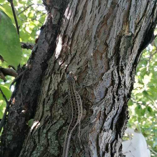 Photo #9228804