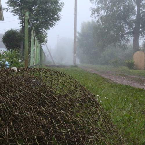 Photo #9228961