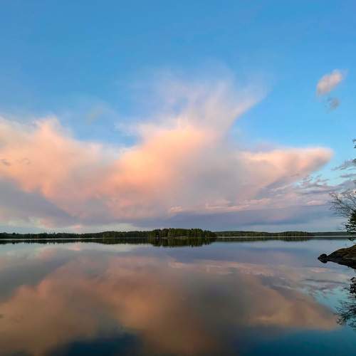 Photo #9229003