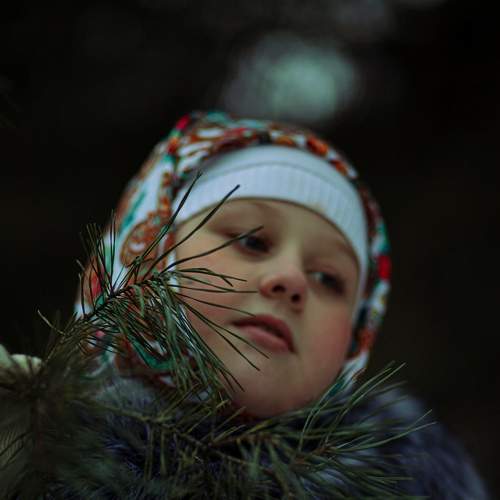 Photo #9229047