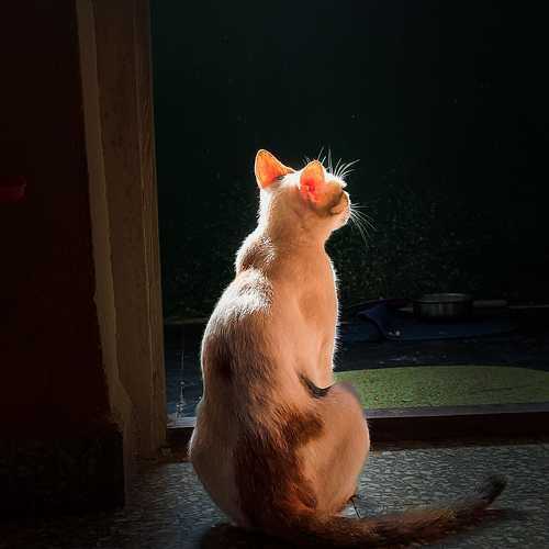 Photo #9229452