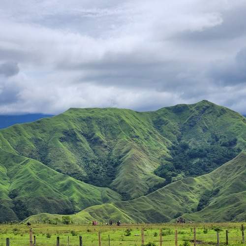 Photo #9229485