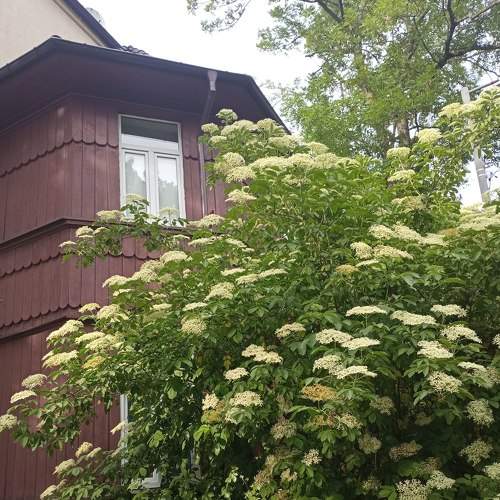 Photo #9229513