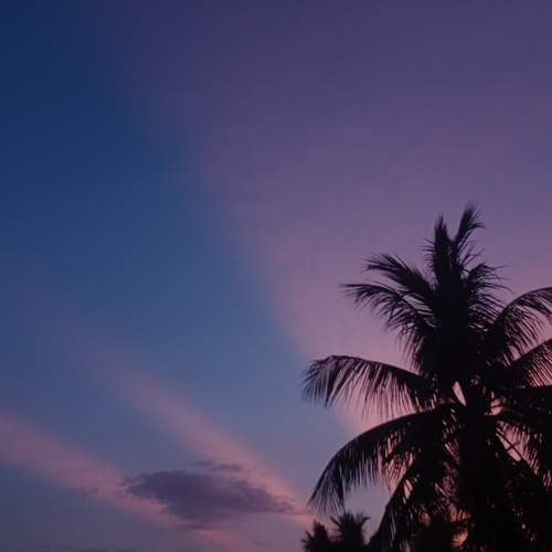Photo #9229520