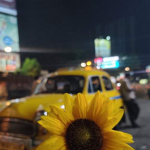 Photo #9229668