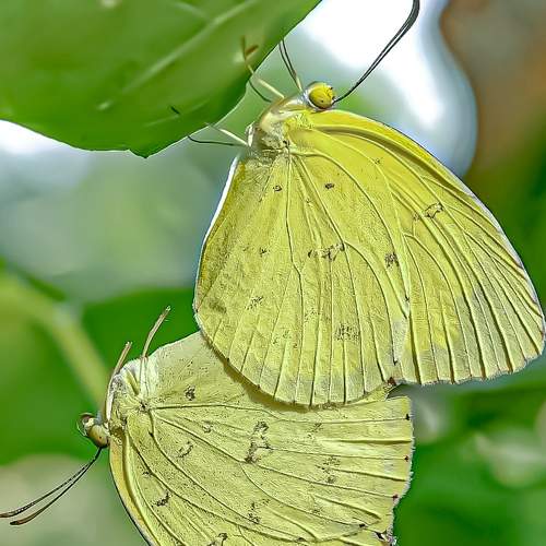 Photo #9229830