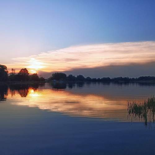 Photo #9229946