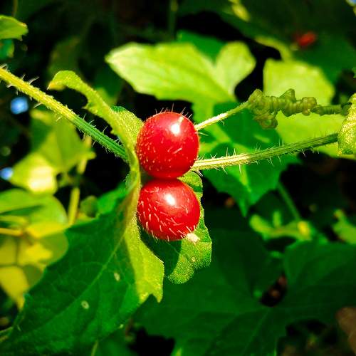 Photo #9230502
