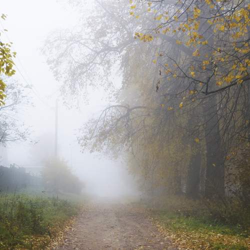 Photo #9230525