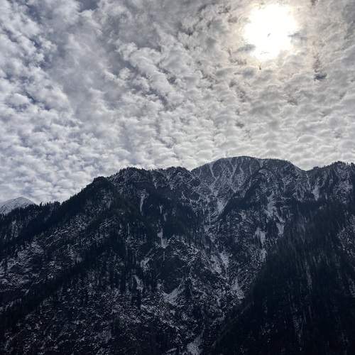 Photo #9231014