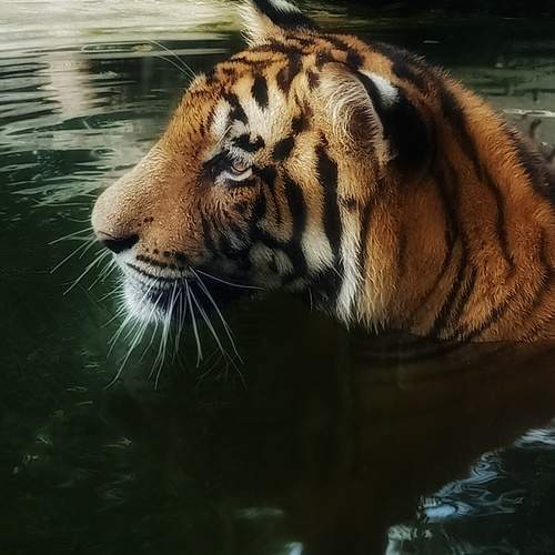 Photo #9231045