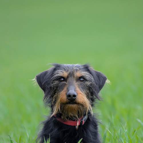 Photo #9231239