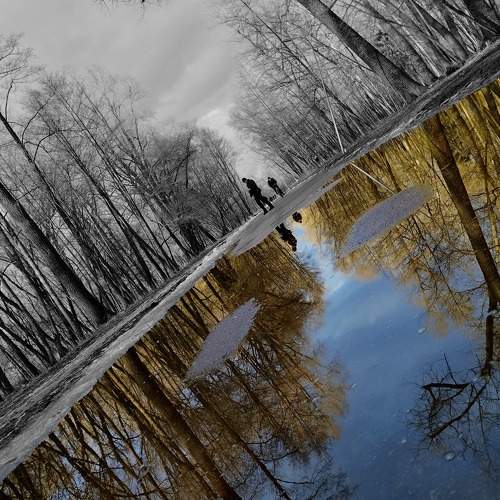 Photo #9231458