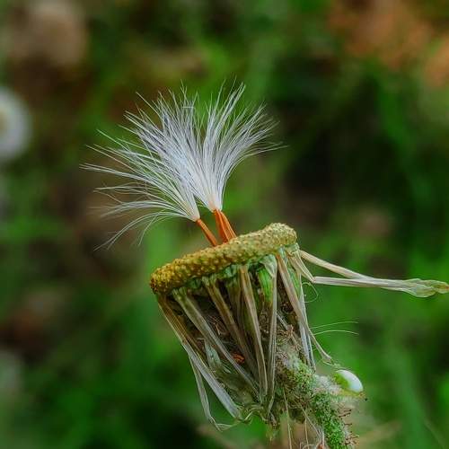 Photo #9231557