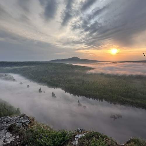 Photo #9231582