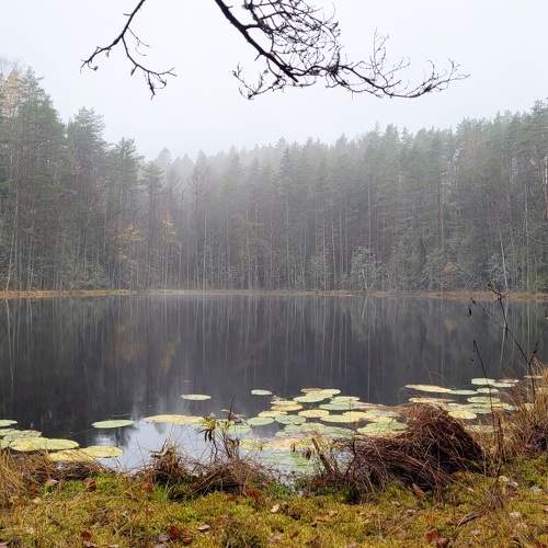 Озеро Мёртвое (Dead Lake)