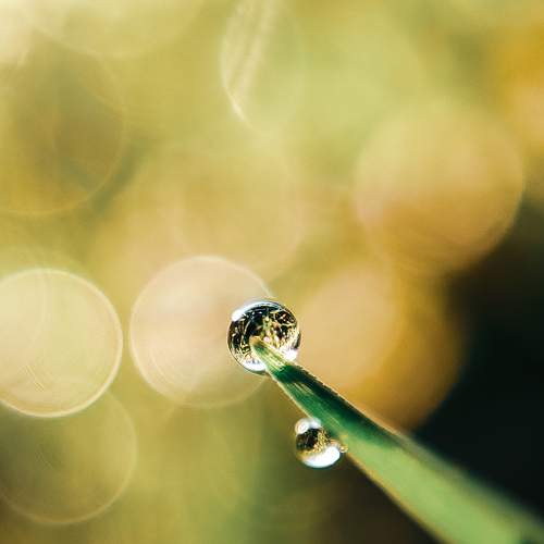 Photo #9232905