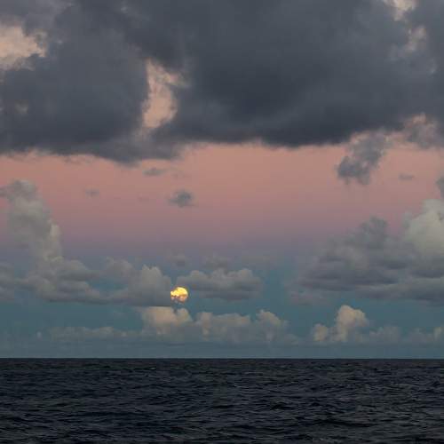 Фотография #9232909