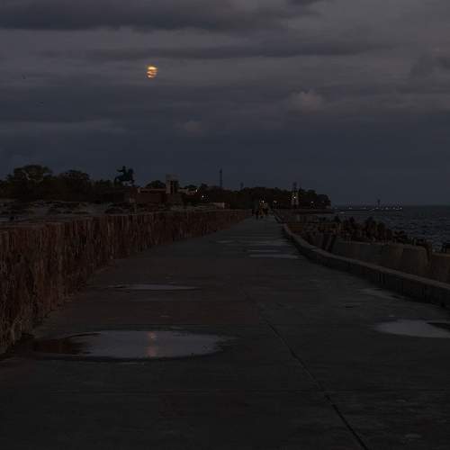 Фотография #9232970