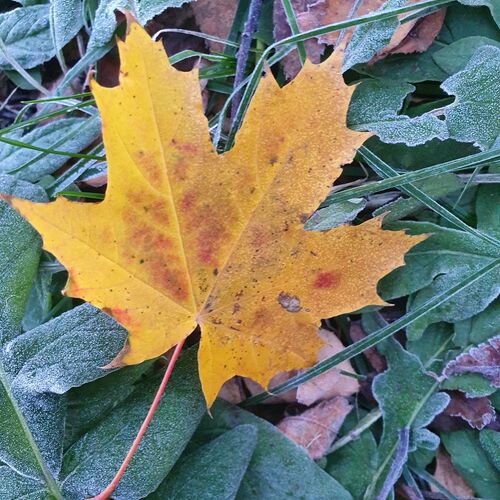 Photo #9233466