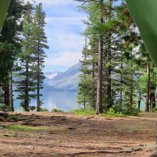 Photo #9233523