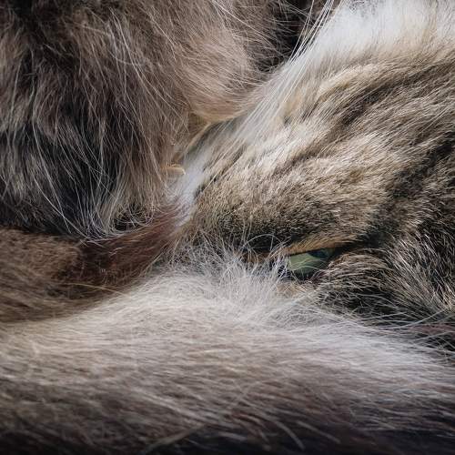 I\'m watching you