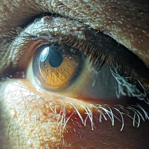 Photo #9234225