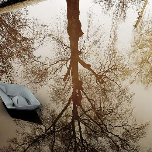 Photo #9234520