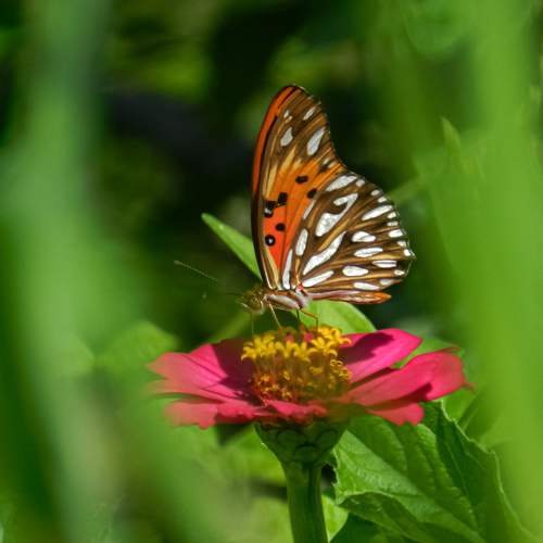 Photo #9235907