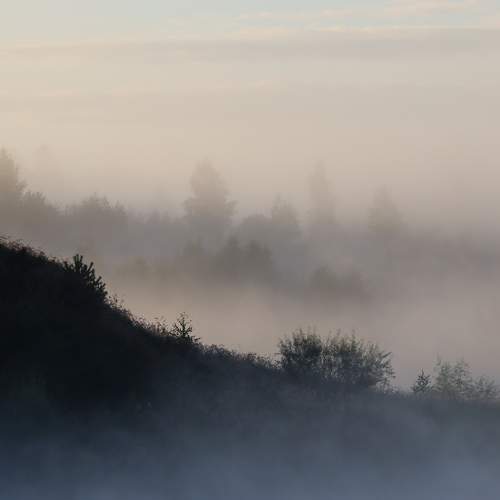 Photo #9235984
