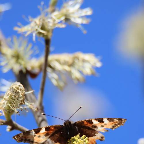 Photo #9236009