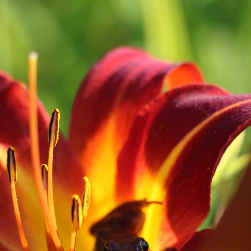 Photo #9236010