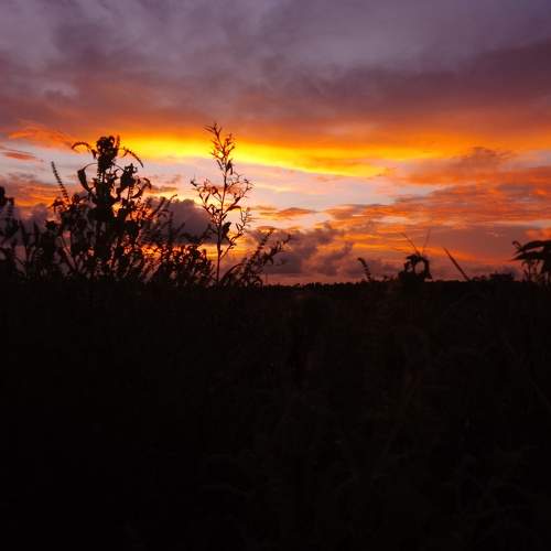 Photo #9236019