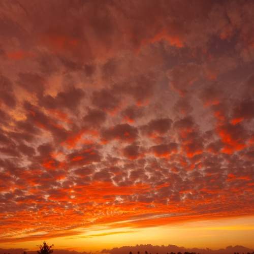 Photo #9236021