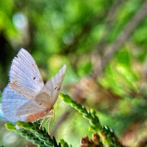 Photo #9236116