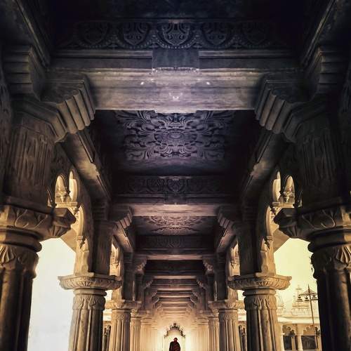 Photo #9236459