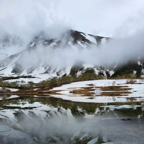 Photo #9236542