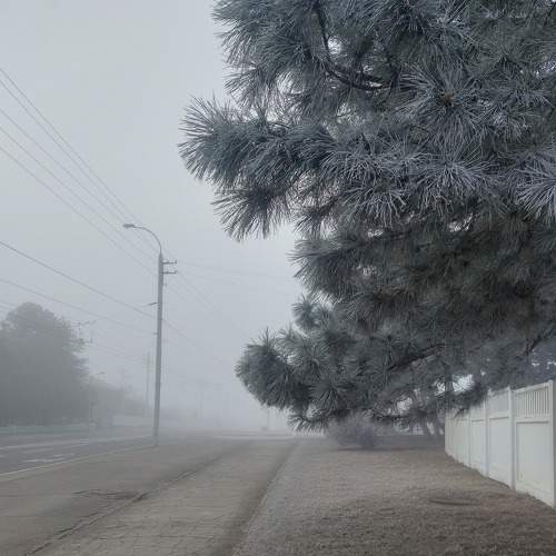 Photo #9236788