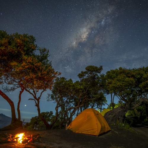 Photo #9236948