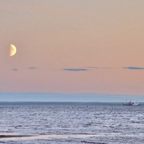 Photo #9237019