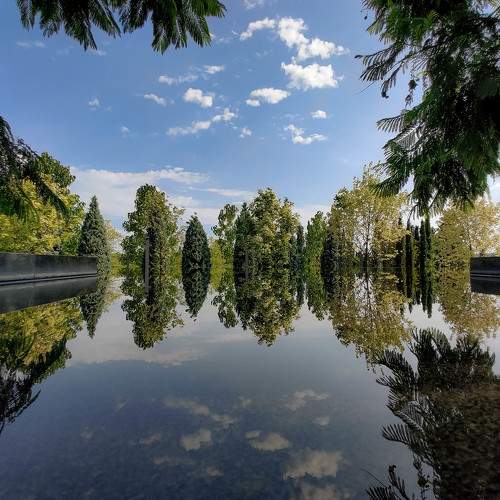 Photo #9237253