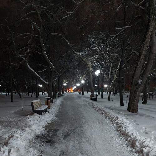 Photo #9237281