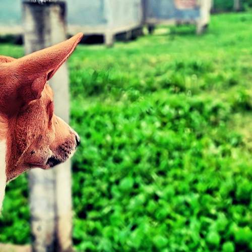 Photo #9238232