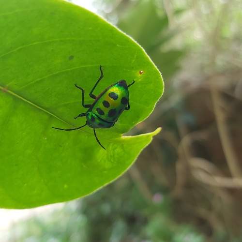 Photo #9238652