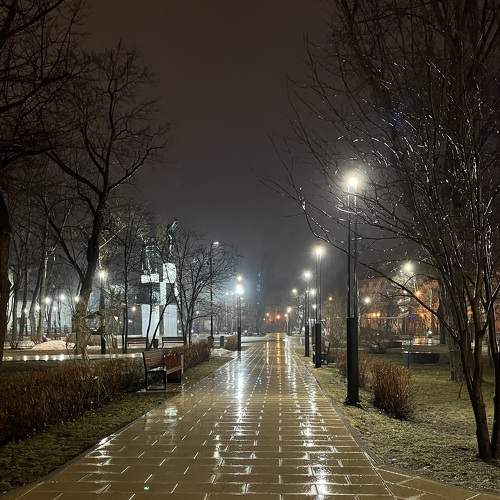 Дождливое утро